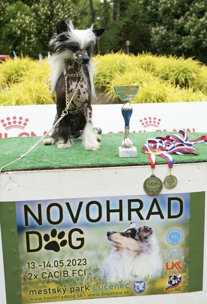 Sol'tanto Fabulous White-Shadow