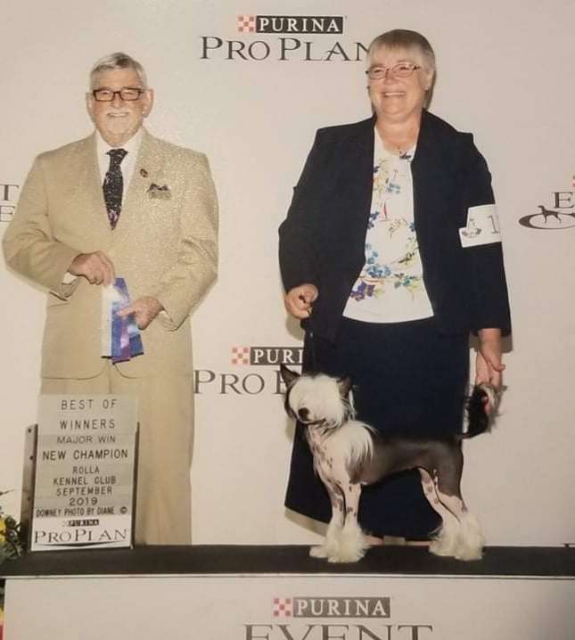 Fantasy's Merry Christmas