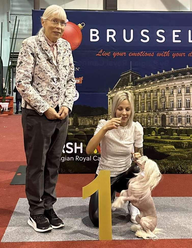 Sylver King du Pavé de Varennes