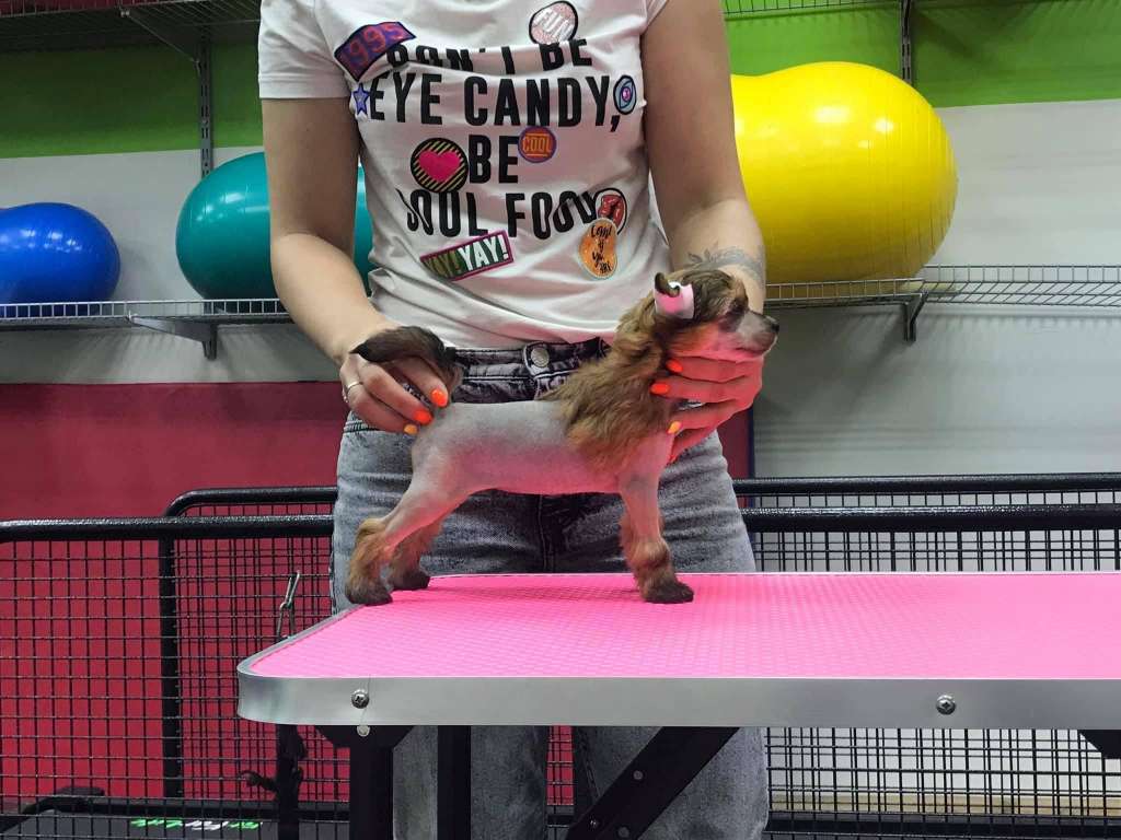 Rolana Family Viva la Vita