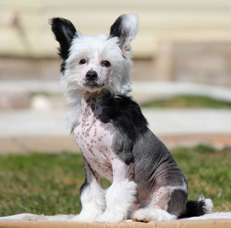 Grace is my style dlya Liris