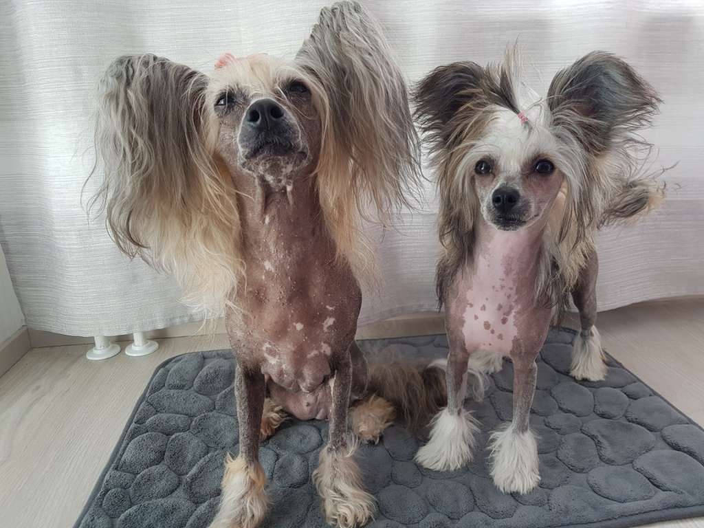 Viavrois Endorphin Effect