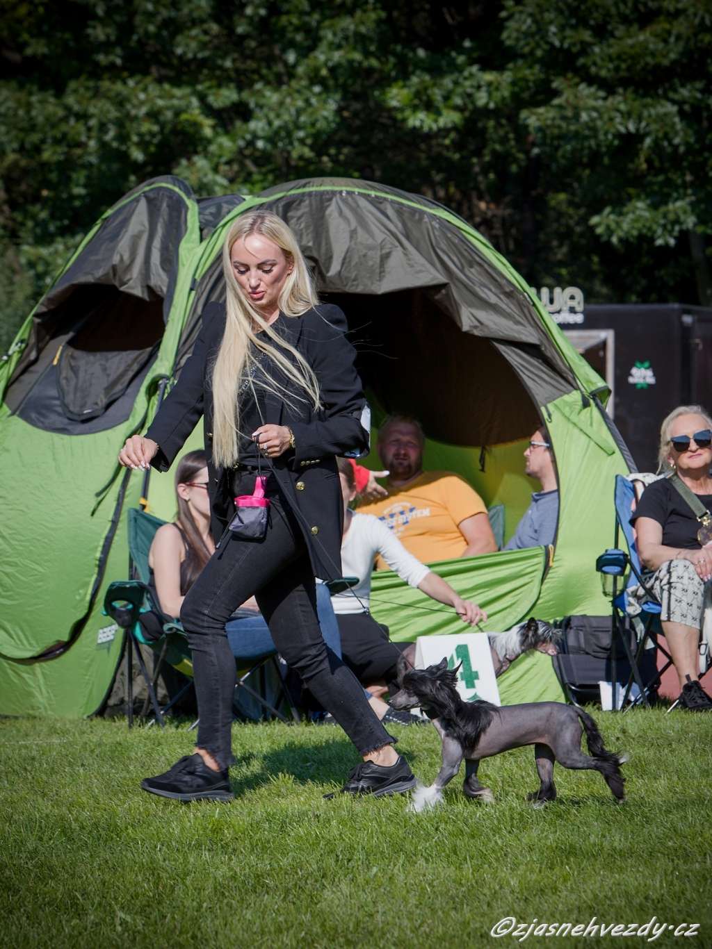 Dasza Exotic World FCI