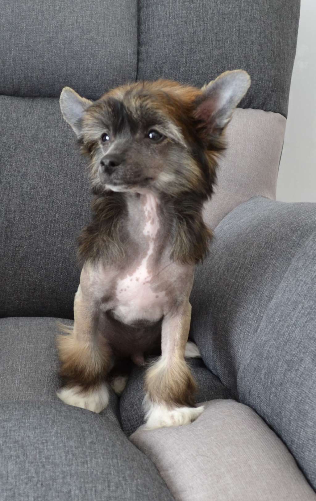 Kalimero Toutou Velu