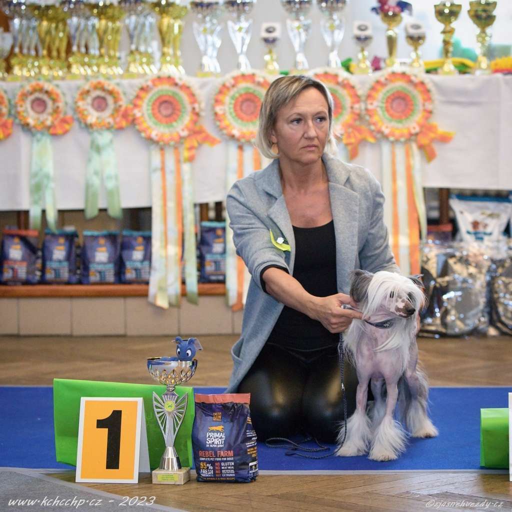 Henessy Oliver Pompinell'