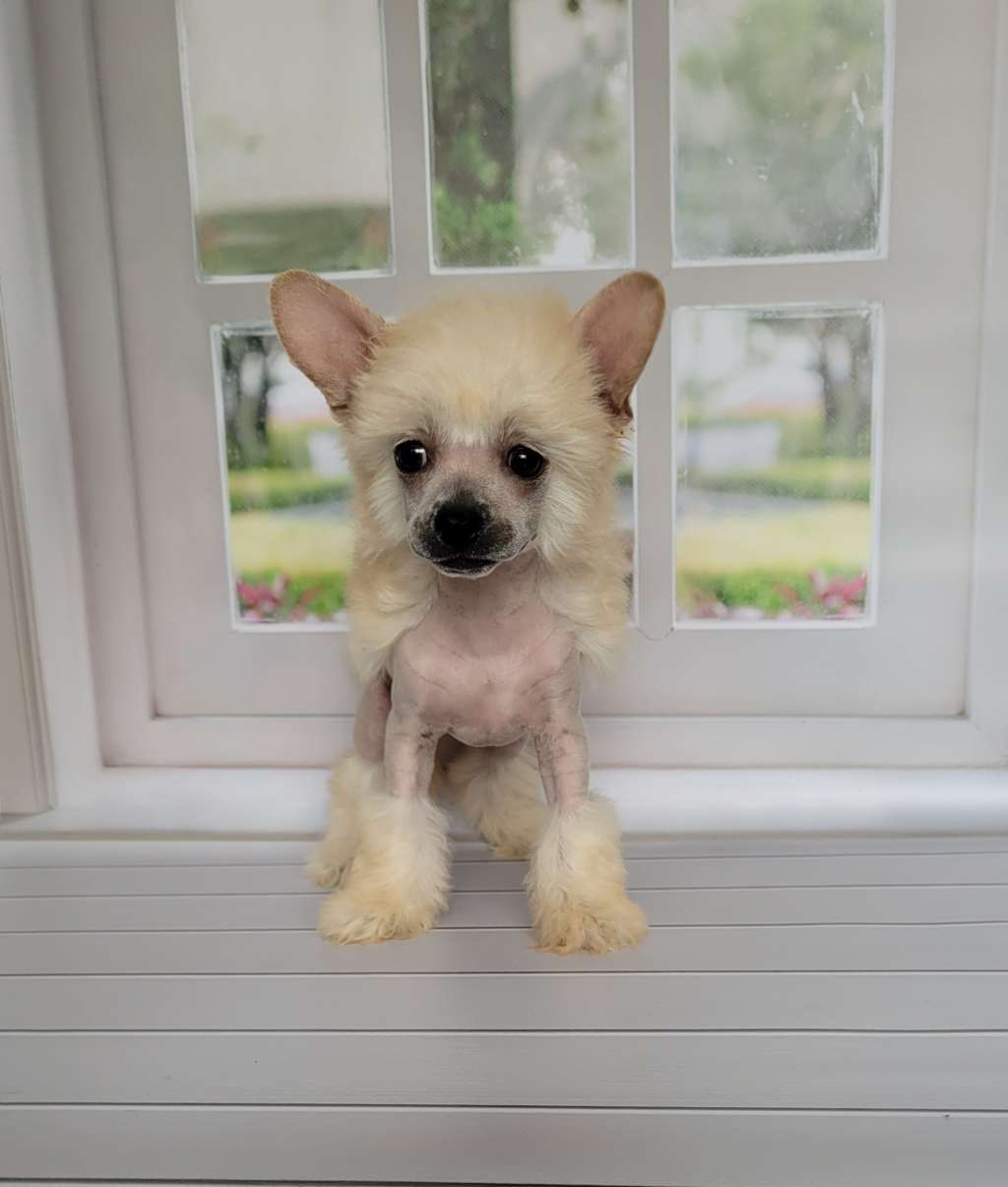 Apriori Vip Besame Mucho