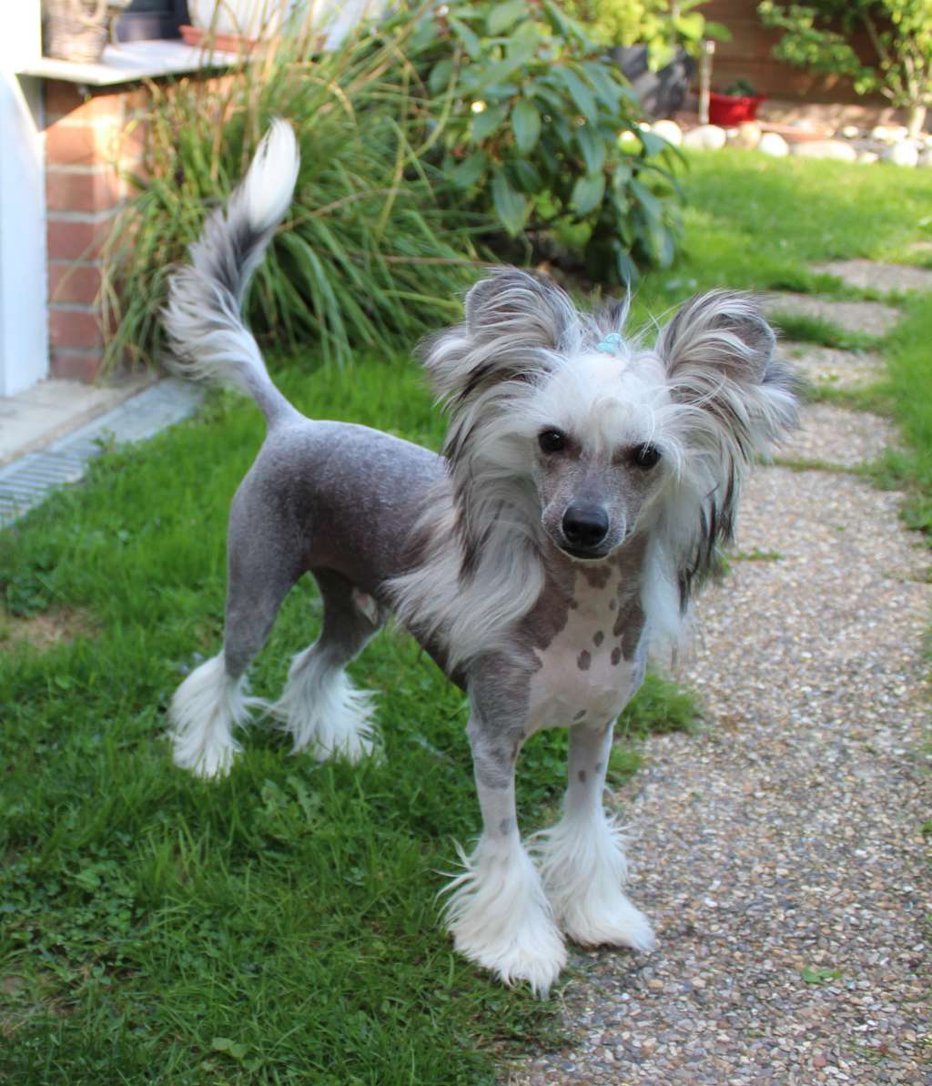 Exotic Spirit Top of the Class