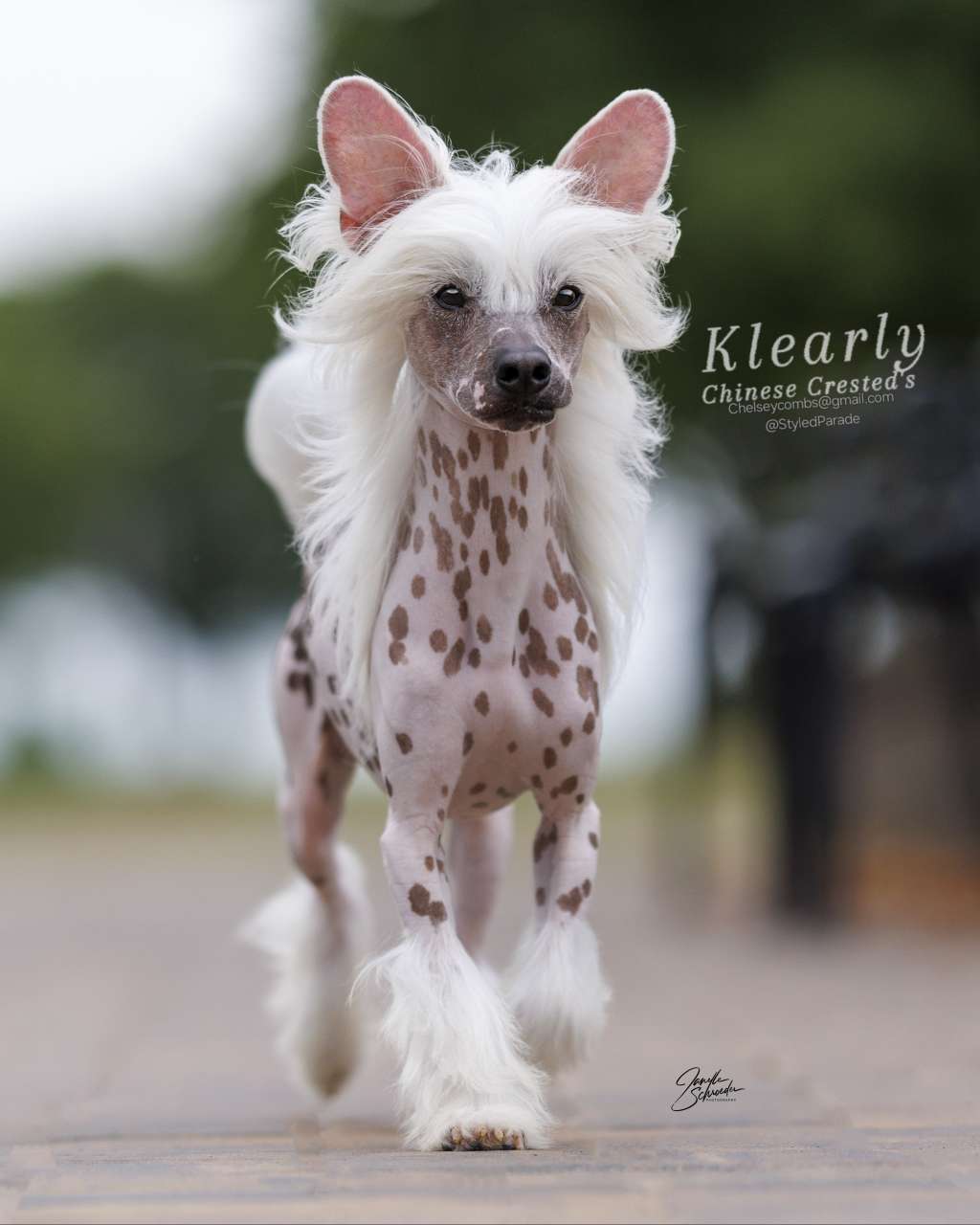 Klearly No Self Control