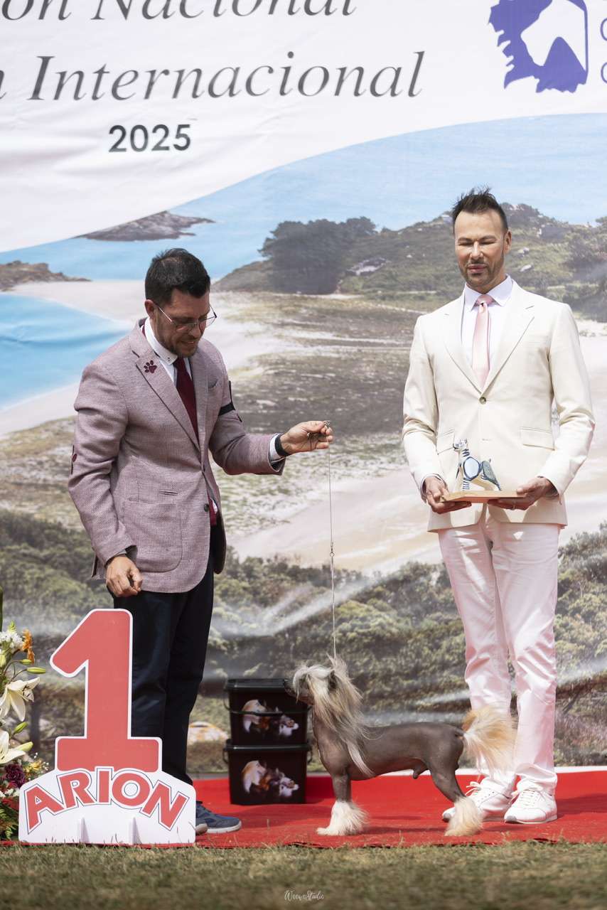 Casino Royale Of CayoCarpo