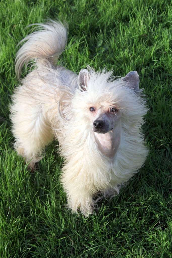 Diamonds Are Forever Of CayoCarpo