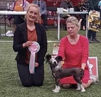 Artic Flyer's Kickflipper