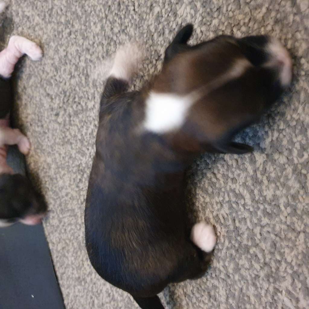 Rominjay look at this