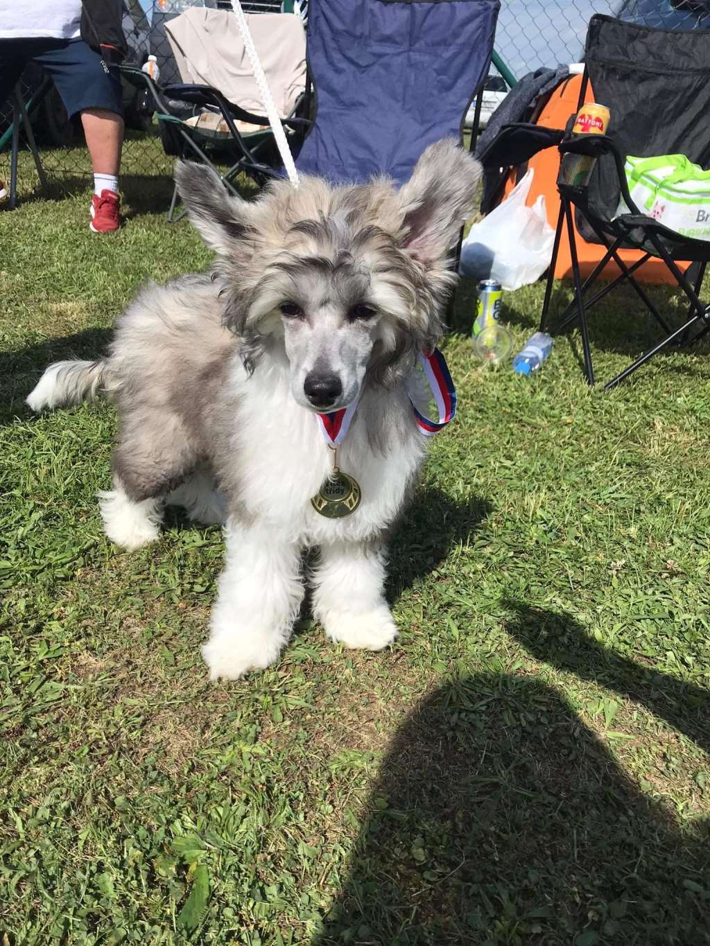 Crispypie Dot Sweet Dream River