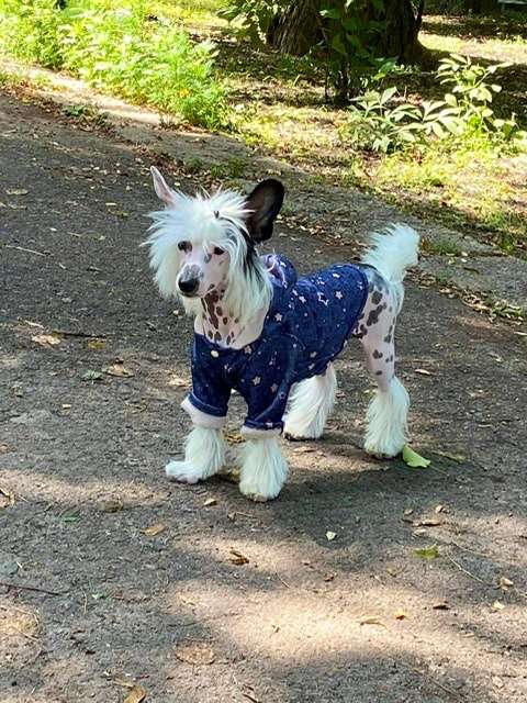 AkDeniz Obsession For You