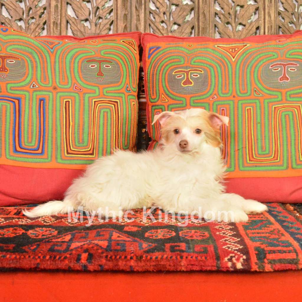 Mythic Blonde Bombshell From Locus