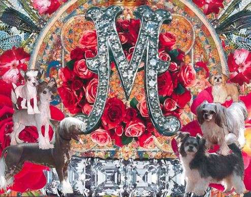 Mythic Living Goddess