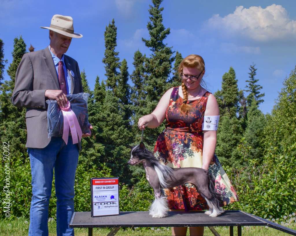 Lalasa N Zhens Dancin Like A Stripper