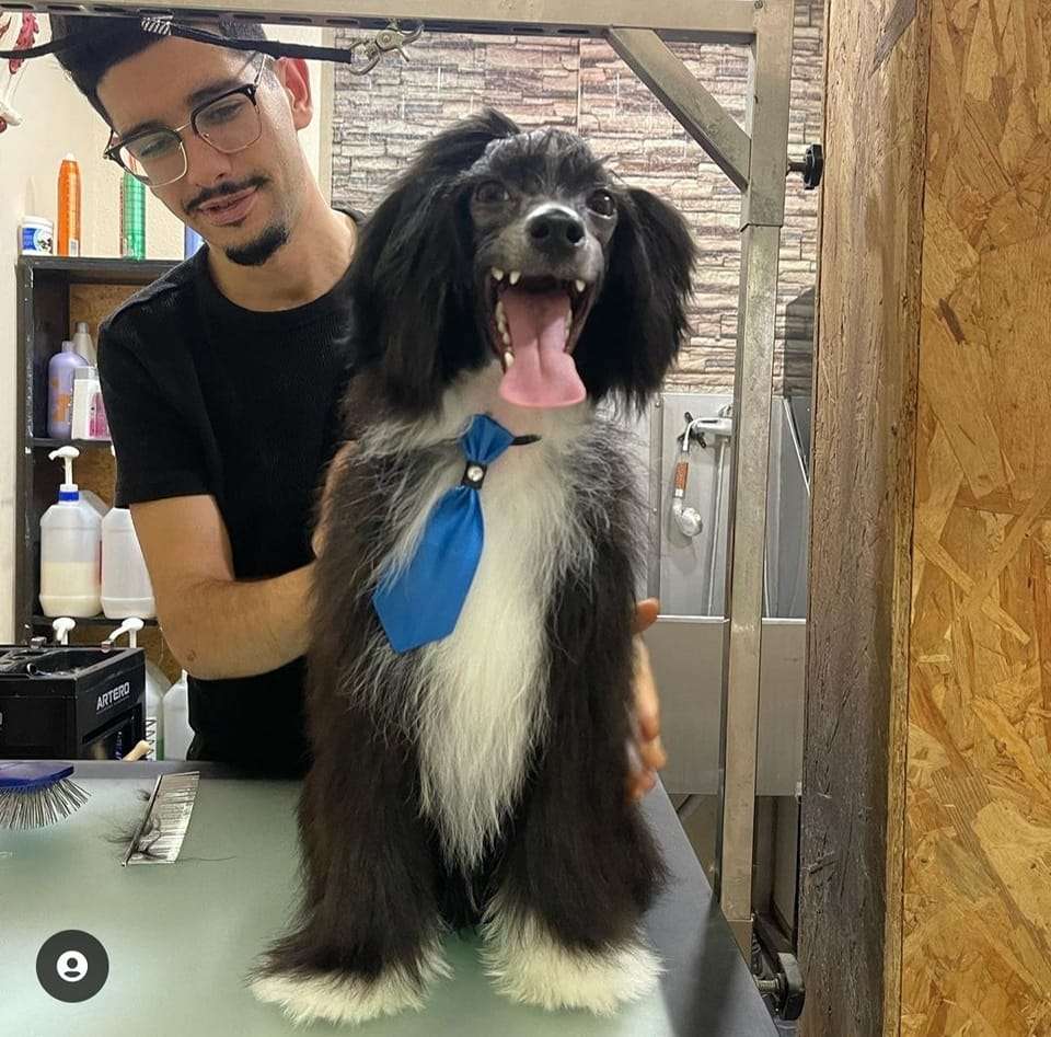 Brooklin Beckham de Lybóriu's Legacy