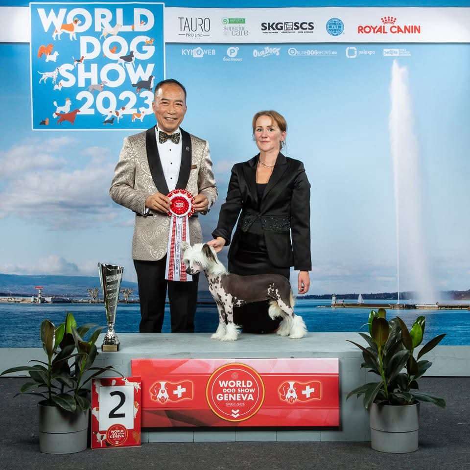 Sirocco Rock That Bends To No Wind