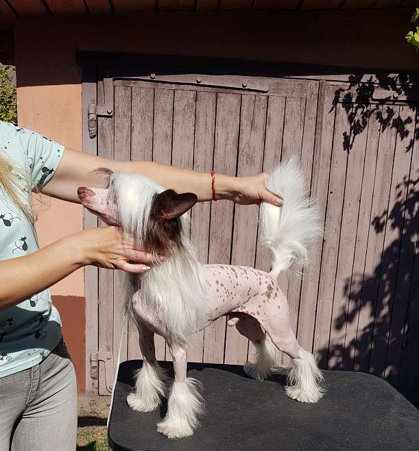 Jason Bredley Furswood