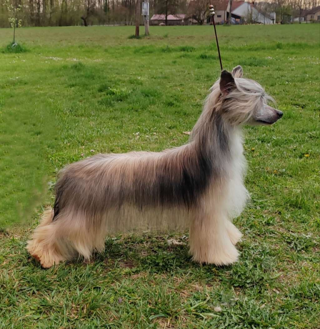 Jackpot for you Laminacka