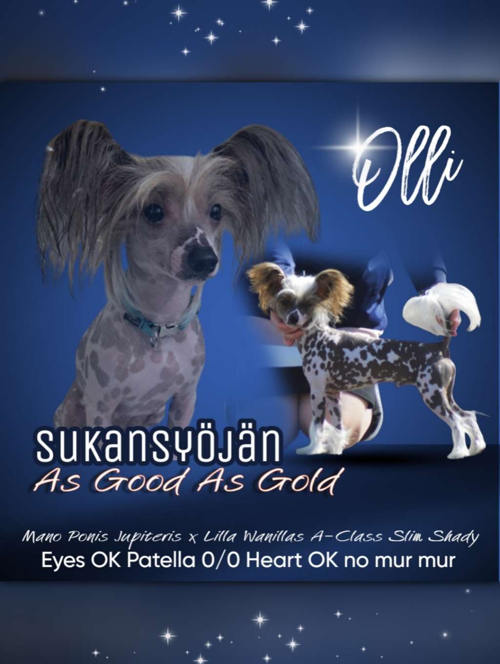 Sukansyöjän As Good As Gold