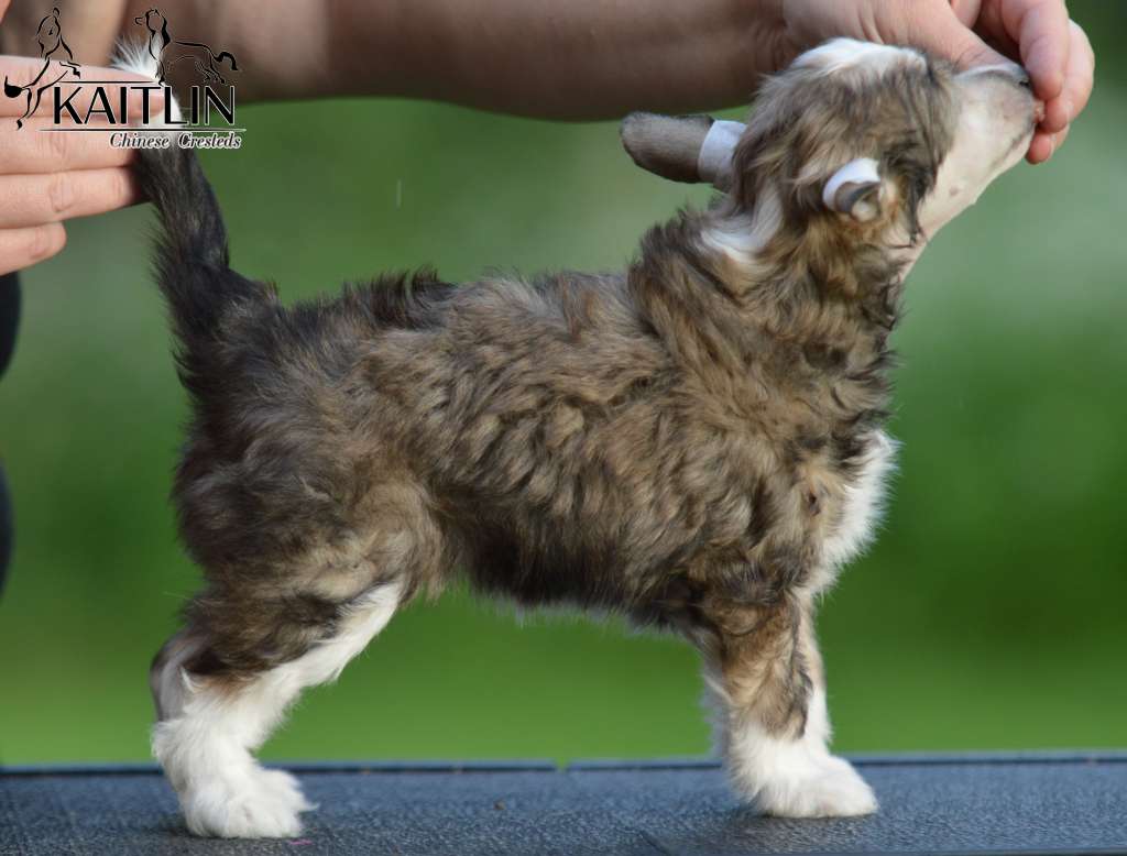 Kaitlin Celebration Sister