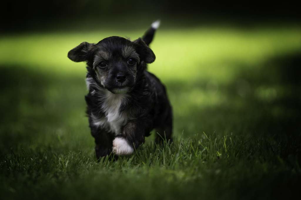 Cute Heartbreakers Alabama Slammer