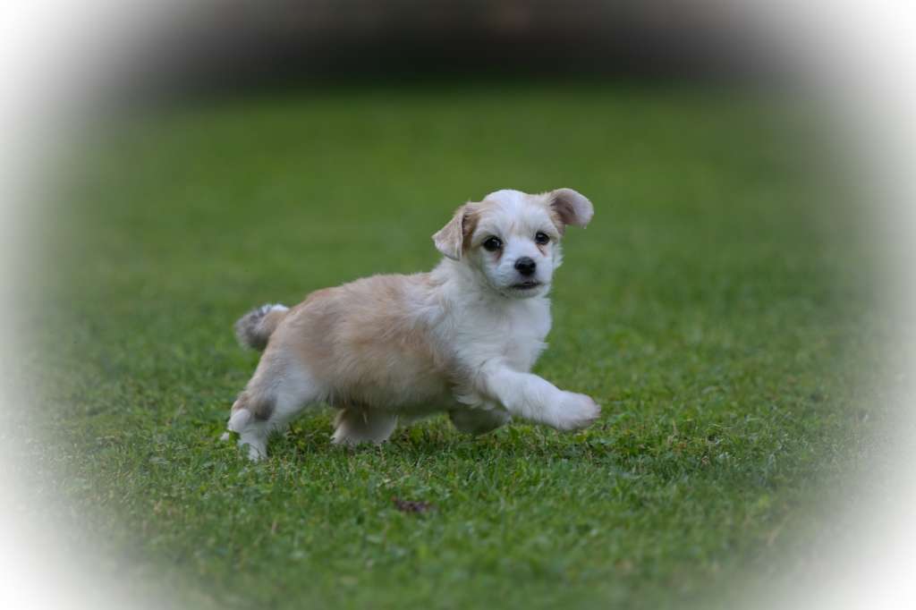 Cute Heartbreakers All Love Montabour