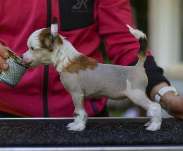 Maybell's Prank Of The Day