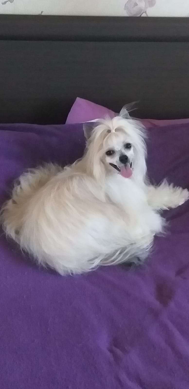 Josefine iz Chudnoy Doliny