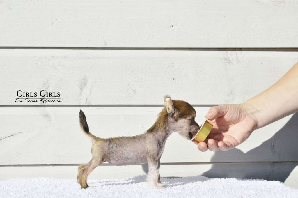 Girls Girls Katy Parry