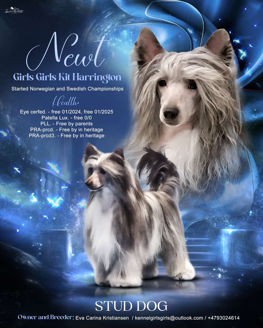 Girls Girls Kit Harrington