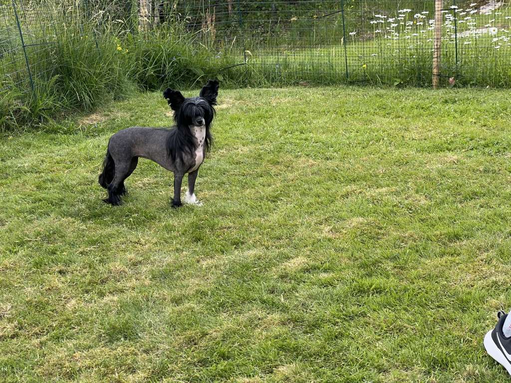 Girls Girls Kat Von D