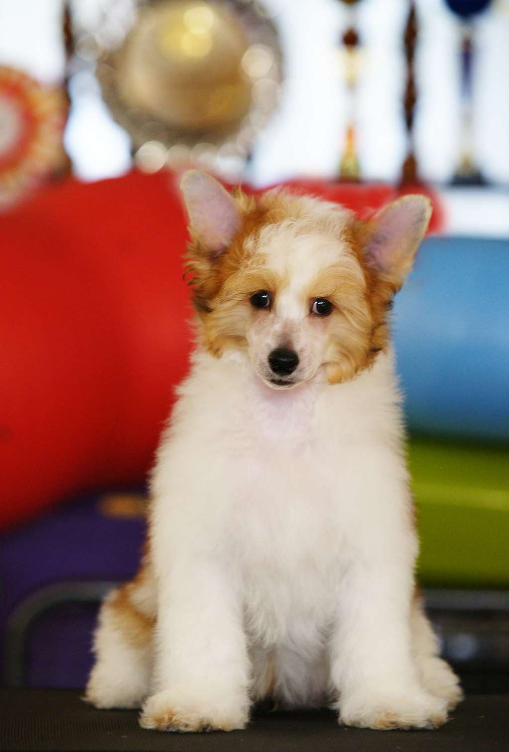 Incanto Del Mondo Unix