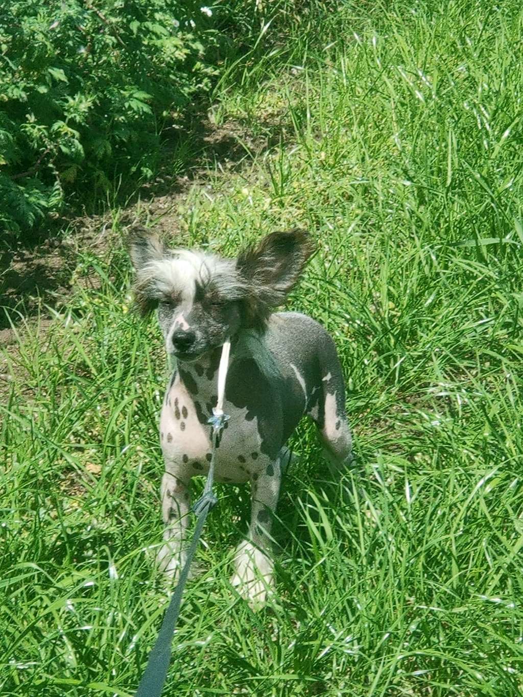 A Turn Up For The Books