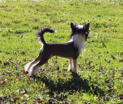 Homestead Loving Every Minute of It