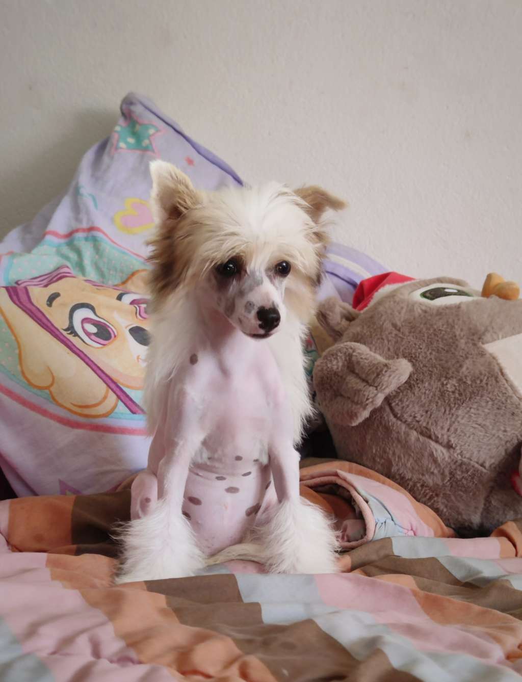 Kiss me quick Laminacka