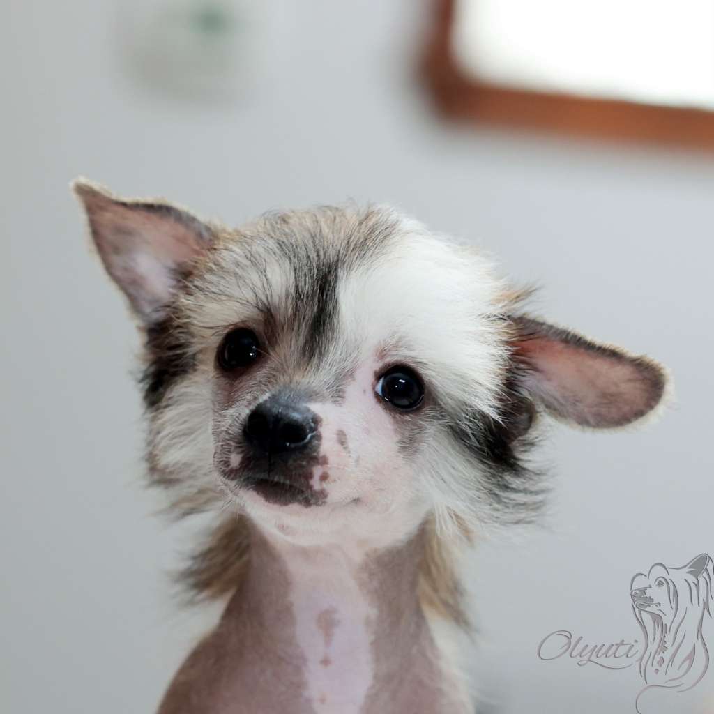 Black's Peg O?My Heart