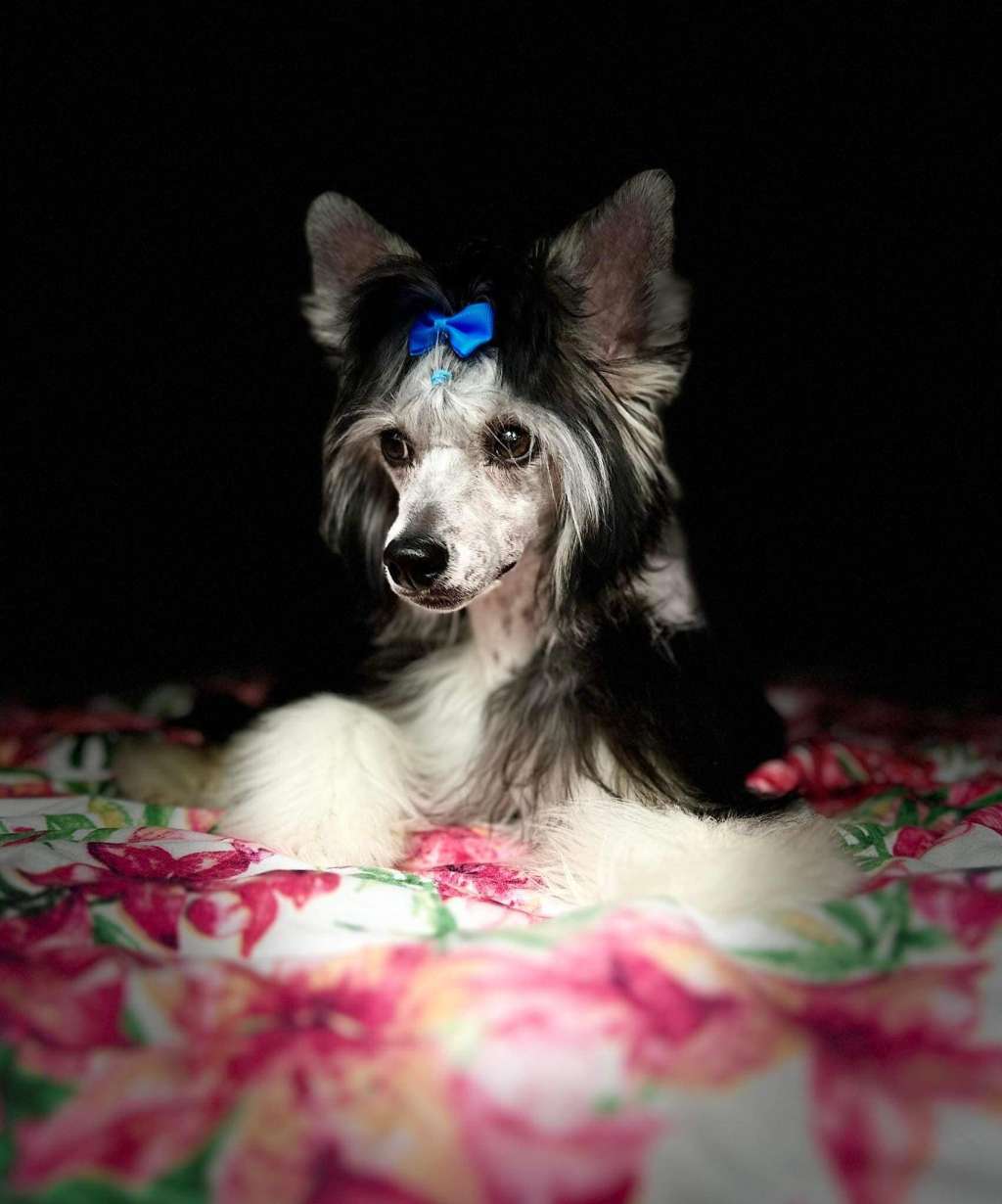 Finalnie Rozkoszna Akizabo