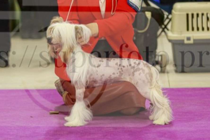 Glenlaif Zhanine  Darsi for Ilatani Style