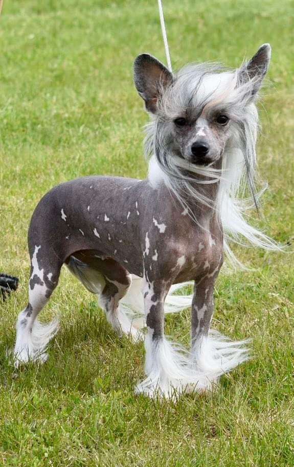 Mbbpis Denali's Have Your Cake And Eat It 2