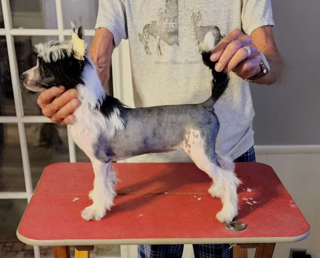 Just Cresteds Miracles Do Happen By Jove