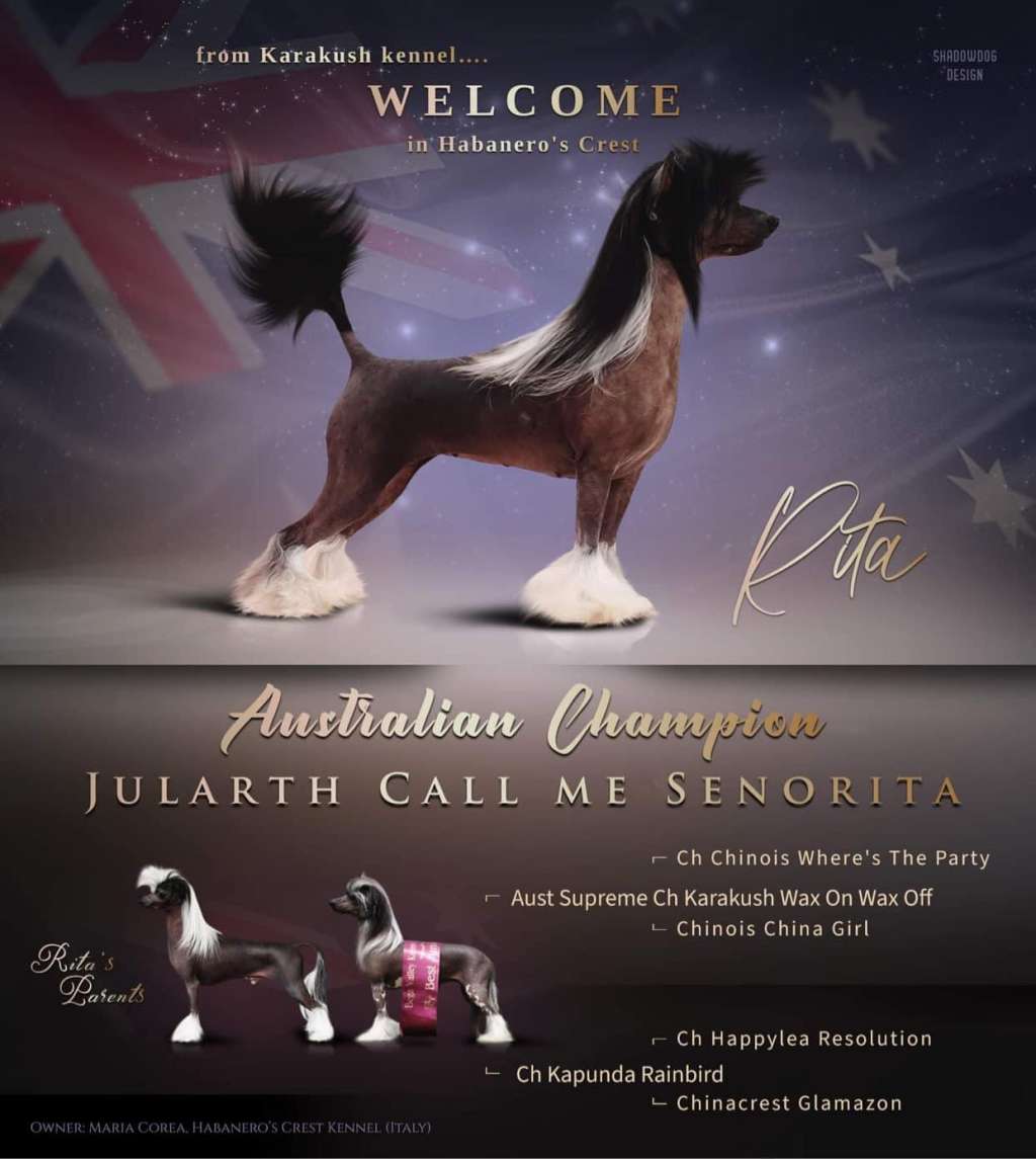 Jularth Call Me Senorita