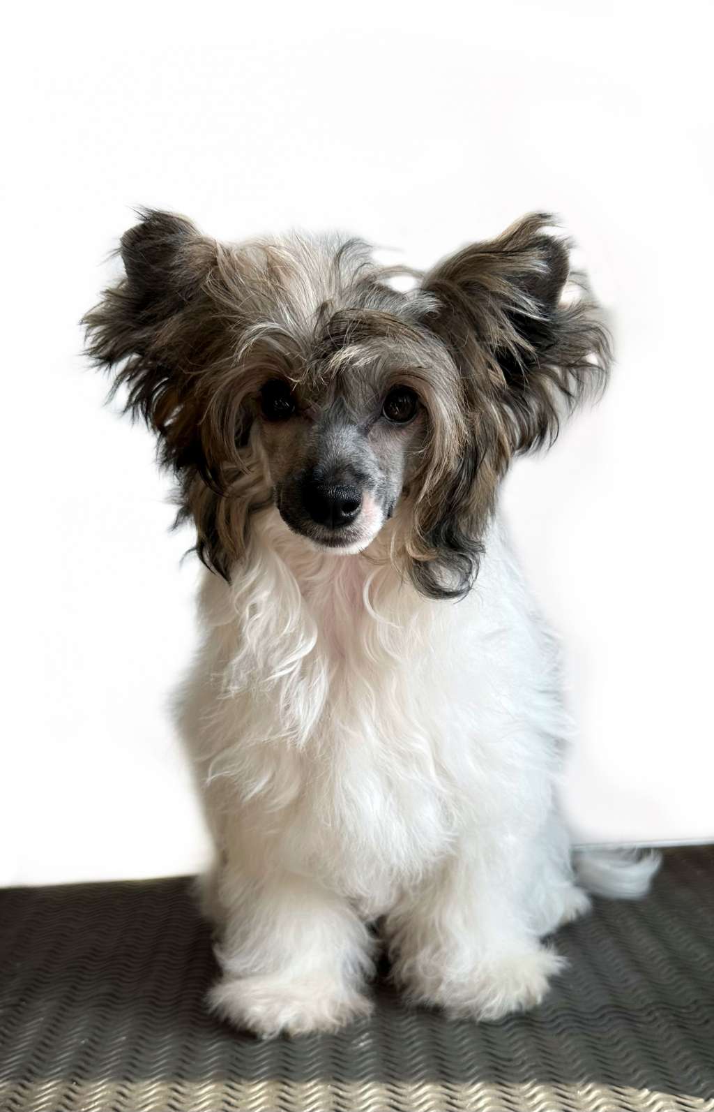 Sharif Diamond of the Night