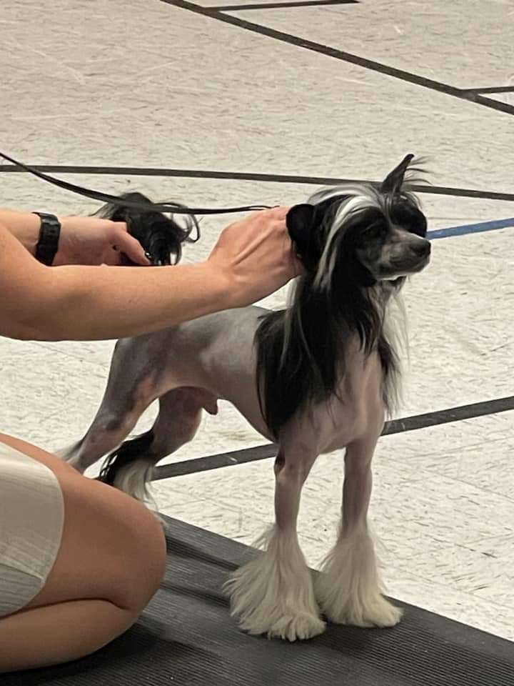 Denali's Danger Zone