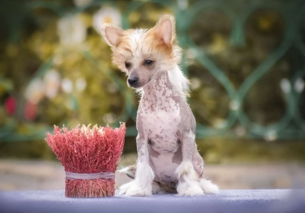 Marydance Inner Space