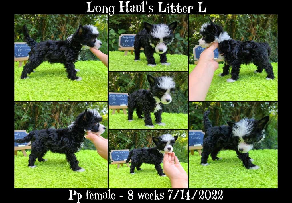 Long Haul's Lock'em & Load'em