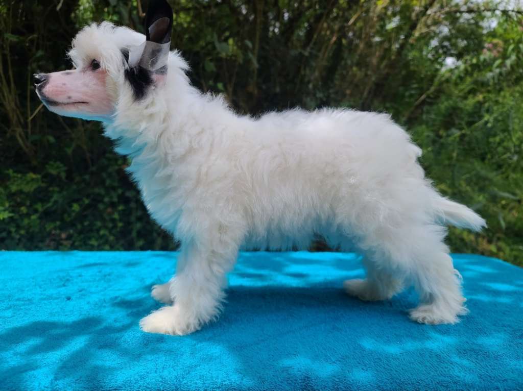 Long Haul's We're All Mad Here