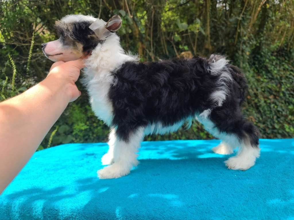 Long Haul's Mad With Envy